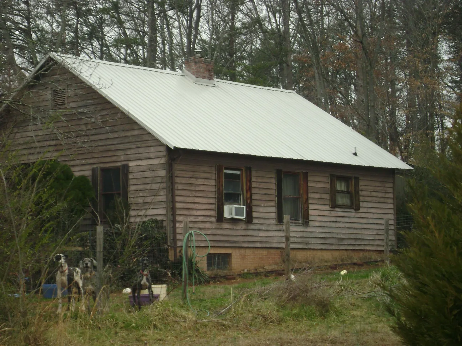White metal roof on an old wood sided farmhouse, from a Asphalt Shingle Roof Repair job in Geyserville